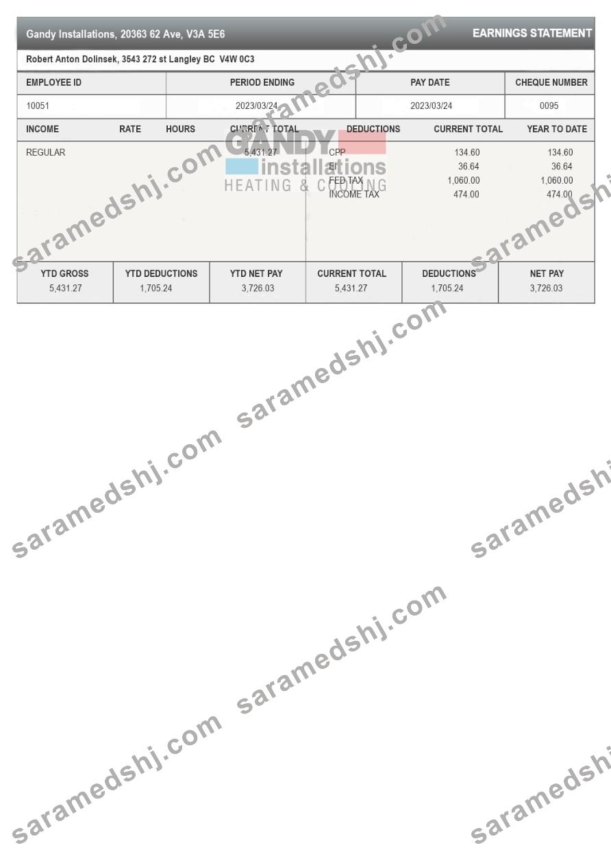 Gandy Installations earnings statement template in Word and PDF formats.pdf, 1